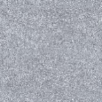 Ayden Grey Dark
