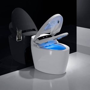 Elegant-smart-commode-from-bindu-hardware
